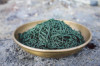 La spiruline, nov. 2022